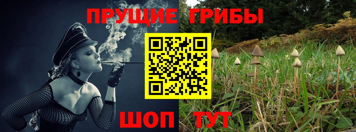 Галлюциногенные грибы мицелий  Вход с VPN  Реж 